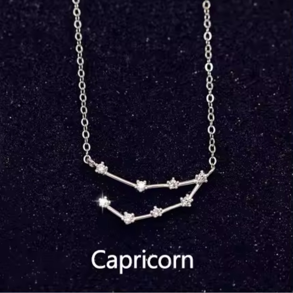 Simple 925 Sterling Silver Zircon Constellation Necklace - Capricorn
L